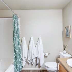 Spacious bathrooms with everything you need a bathroom with a green shower curtain sink mirror and toilet